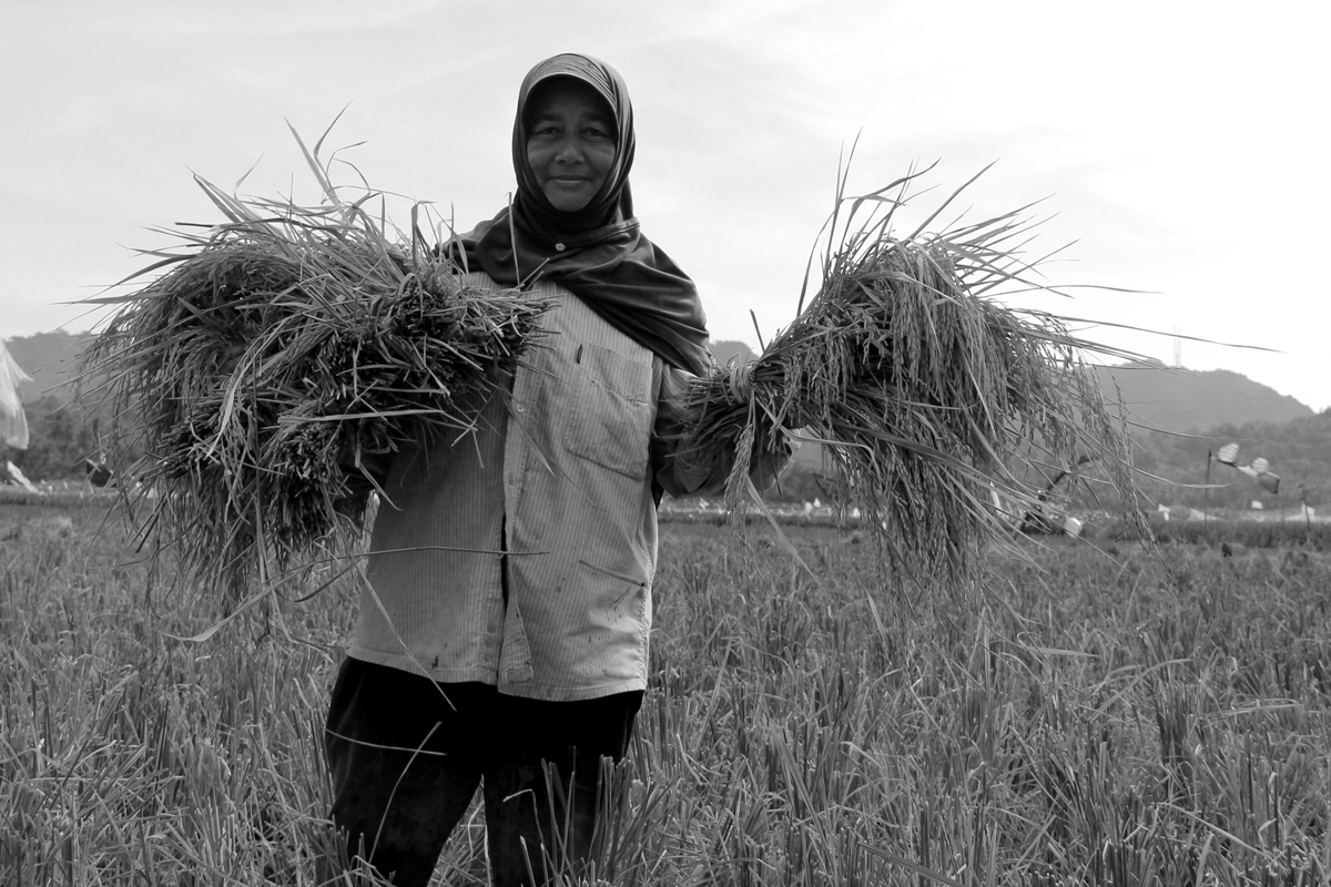 Ibu Siti Rahayu